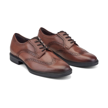 Rockport Keegan Dress Wing Tip Lace-up Oxfords For Men