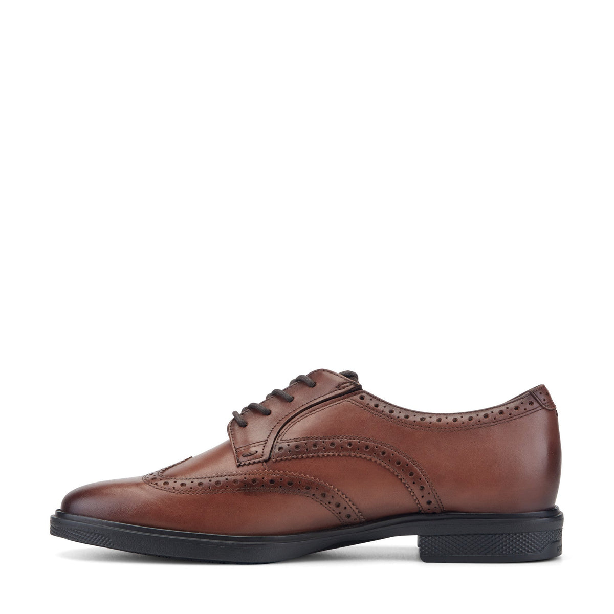 Rockport Keegan Dress Wing Tip Lace-up Oxfords For Men