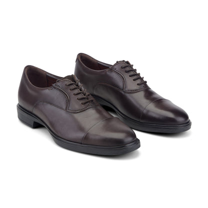 Rockport Keefe Dress Cap Toe Lace-up Oxfords For Men